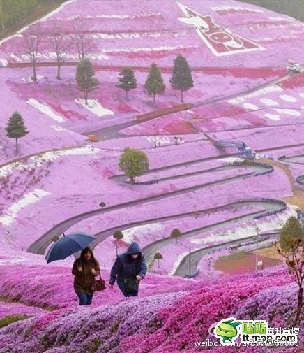 马雷岛上的守卫灯塔，真有奇迹让人泪目（马雷岛上的守卫灯塔）