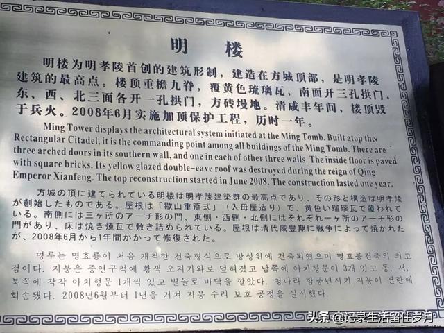 南京小众景点紫金山，登南京紫金山游记