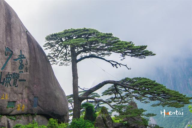 黄山旅游推荐民宿，慢品黄山烟火⑨​一亩山庄