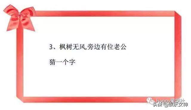  白头偕老打一字谜，1001猜字谜打一字