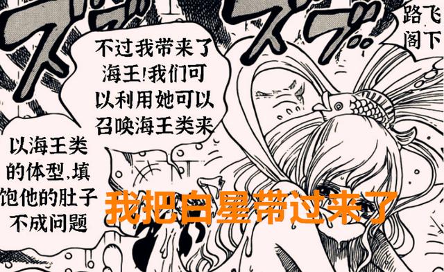 海贼王娜美罗宾acg性处理漫画，海贼王娜美罗宾