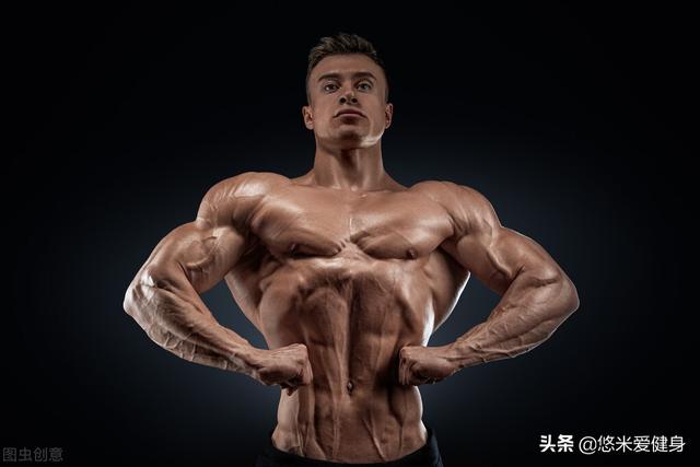 肥胖蝙蝠肌(蝙蝠翼肌肉图片)