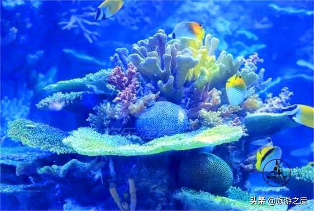 深圳小梅沙游玩时间多长，深圳小梅沙不只是海滩