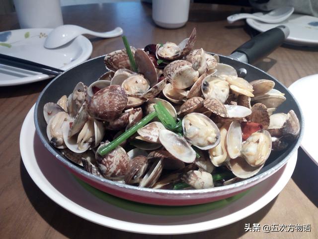 海鲜贝类图鉴，青岛常见食用贝类图鉴大全