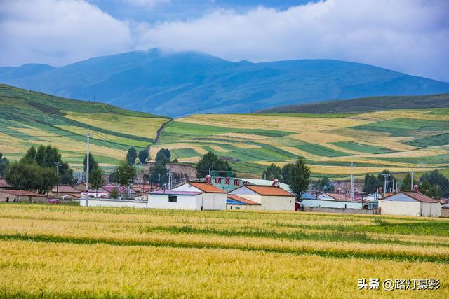 去青海湖哪个景点看油菜花最美好，青海最美的5处小众旅行地