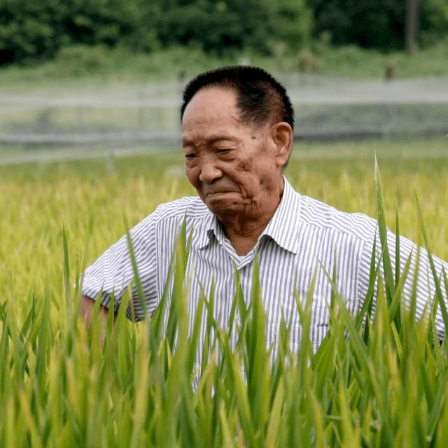 袁隆平什么时候去世的，袁隆平老先生于5.22日去世