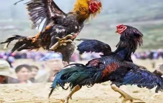 三国小镇最新情况，三国小镇新年活动出炉了