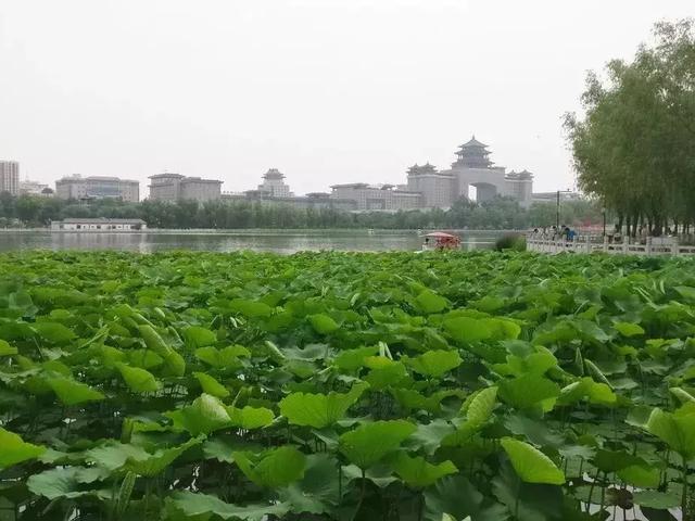 北京一日游攻略，北京一日旅游攻略必去景点