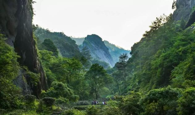 武夷岩茶三坑两涧位置，孕育了绝品岩茶的