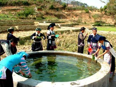 昆明到西双版纳最佳旅游路线，昆明坐火车去西双版纳3.5小时到达