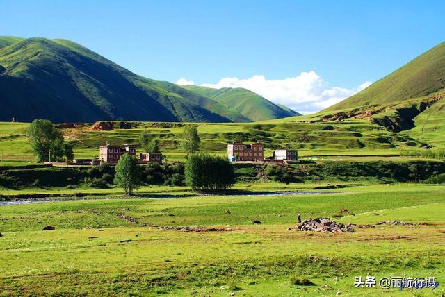 新都桥草原风景，新都桥—塔公草原—雅砻江河谷——迷人的夏季风光