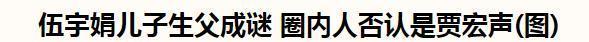 贾宏声伍宇娟同居，儿子生父至今成谜