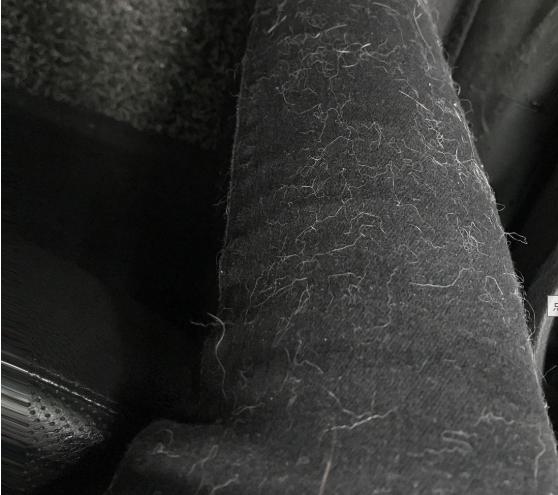 狗子啥时候掉毛严重，为什么狗狗在冬天掉毛特别多