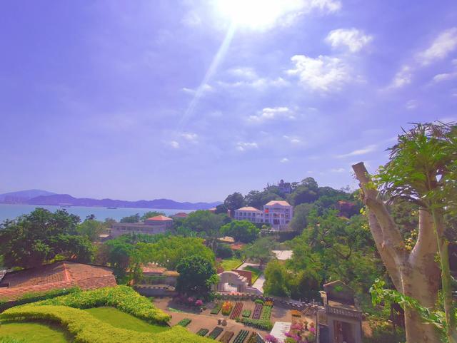 厦门鼓浪屿一日游，厦门鼓浪屿1天游攻略（当地人带你一天玩转鼓浪屿）