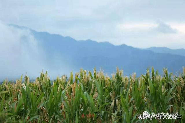 渭南清渭楼风光，秦故都清渭楼曾经有过辉煌