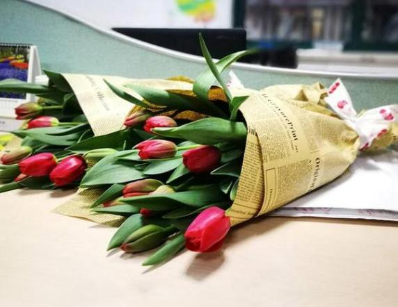 白色郁金香图片，10朵白色郁金香花语（白色郁金香花束）