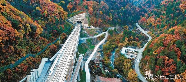 秦岭隧道在哪里，秦岭最大隧道在哪