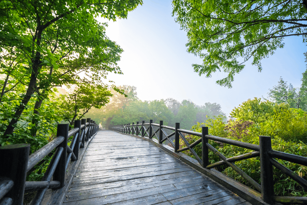 常州淹城春秋乐园，常州淹城春秋乐园开放时间