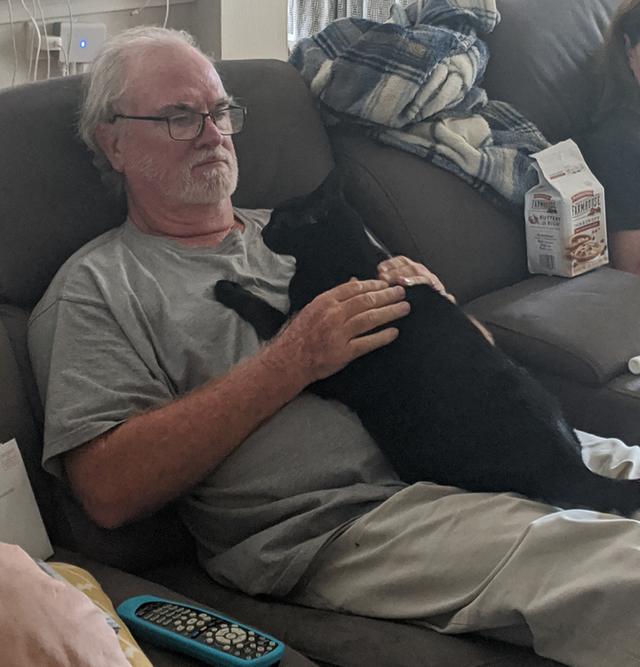 并不是所有人都适合养猫咪，有一部分人根本不适合养喵