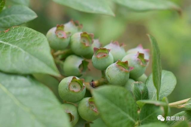 四明山好玩的景点大全，四明山游记