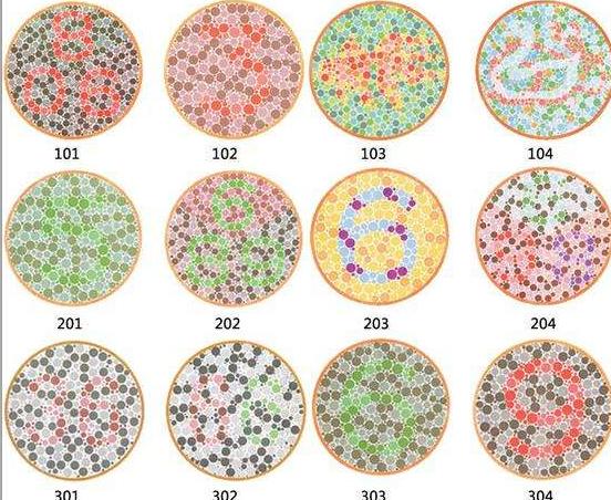 色盲测试图最新版，最新色盲色弱测试图及答案（考驾驶证、小孩升学体检必备）