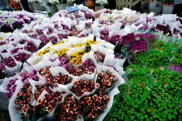 便宜又实惠的鲜花市场，打卡全国最大的鲜花批发市场