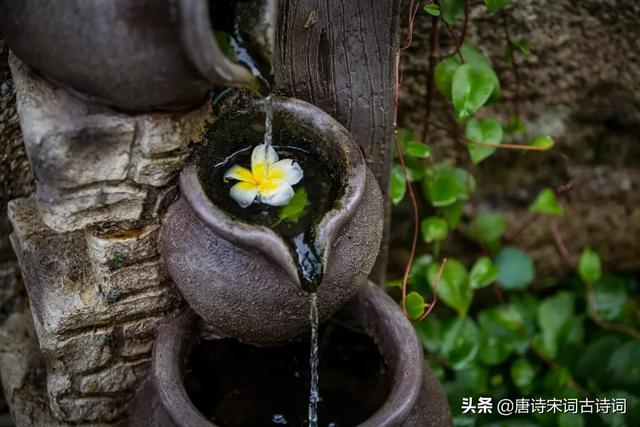 句句入骨的人生诗句，20句经典诗词句句扎心