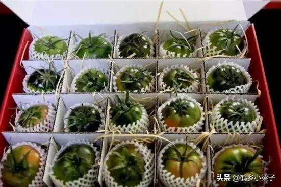 如何辨别正宗西红柿，教你几个挑西红柿的小技巧