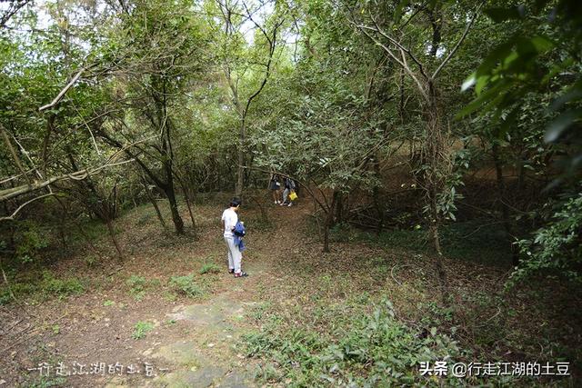 虞山国家森林公园，历史上的虞山公园