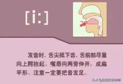 英语音标怎么学，初学英语者必看如何学习国际音标（资深老教师说：音标就该这样学）