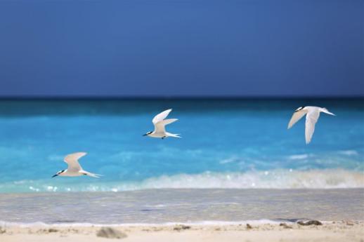 西沙游玩攻略，西沙，此生必去的绝美之地