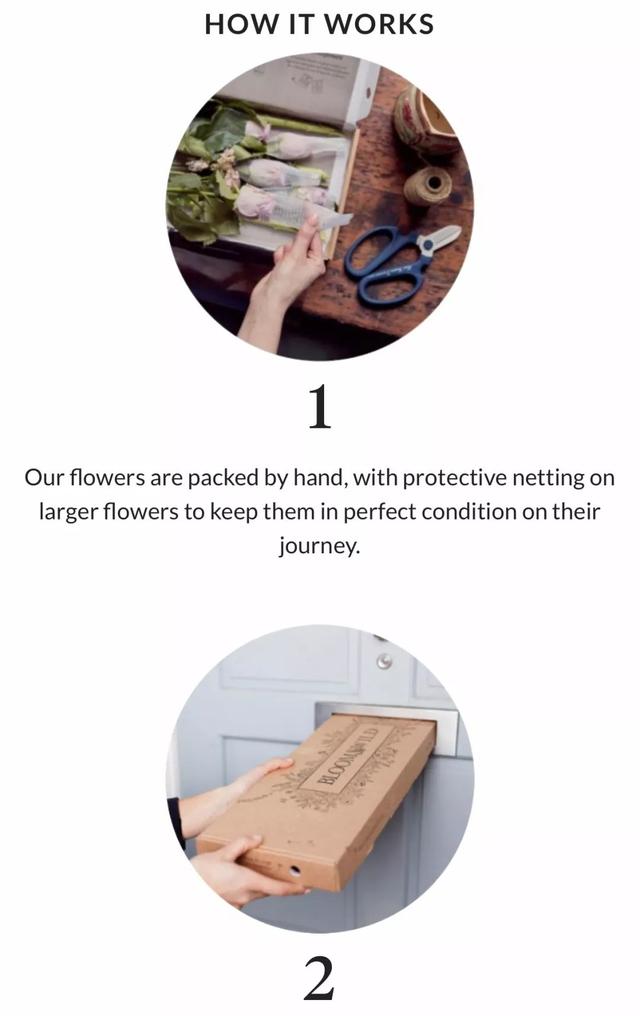 互联网花店的市场分析，3家外国线上花店