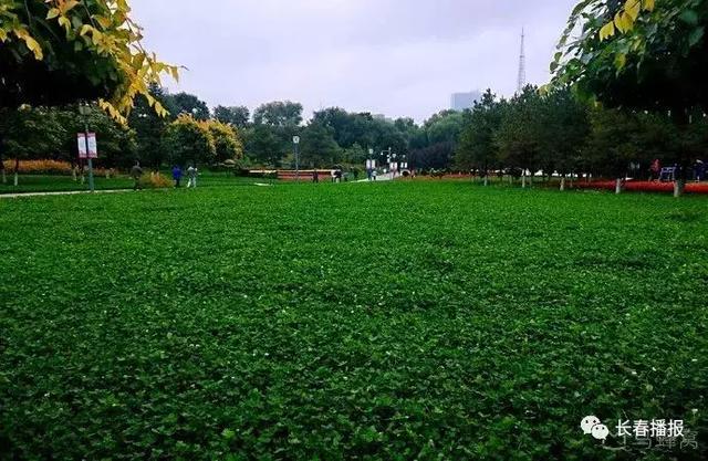 长春市都有哪些公园可以玩，长春市这些文化主题公园你都去过吗