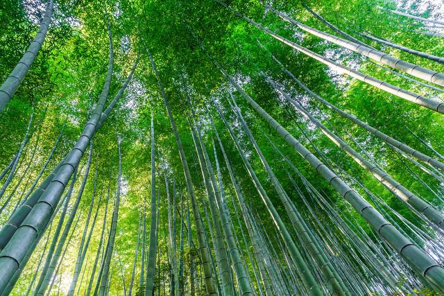 王阳明格物致知治学方法，王阳明和朱熹在“格物致知”解释上的区别