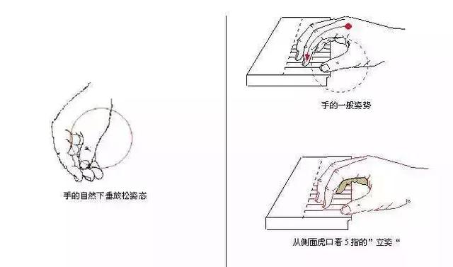 钢琴入门基础学习，成人钢琴学习入门指南