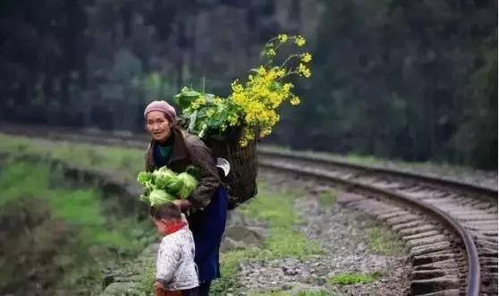 乐山最出名的古镇，乐山旅游必去十大景点推荐一下