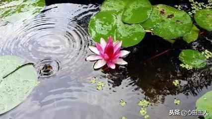 禅宗五祖弘忍大师祖籍，净土祖师传十一祖杭州梵天贤公