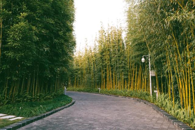 腾冲哪里的温泉比较好泡，想在国内舒服泡温泉