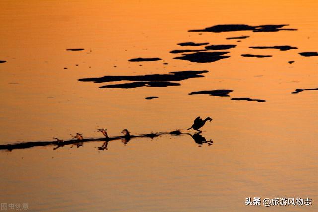 天津最大的水库排名，盘点天津四大水库