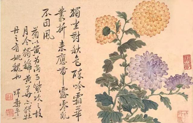 牡丹鉴赏实力画家笔下的牡丹风华，实力画家笔下的牡丹风华
