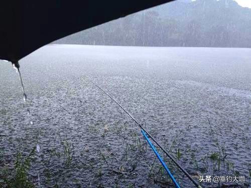 夏天雨前和雨后哪个钓鱼比较好，夏季雨前雨中雨后谁才是钓鱼的黄金时间