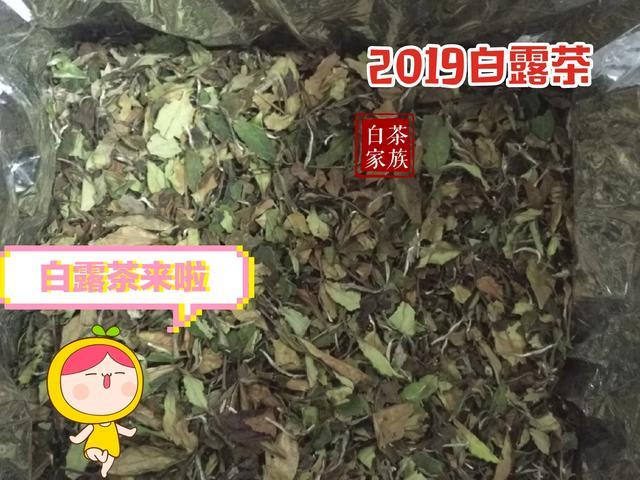 白茶适合什么季节喝，白茶适合哪些季节喝