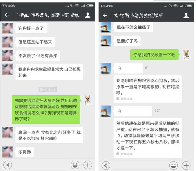 细小犬瘟可以自己治疗吗，1500元不保证治好。DIY在家治细小