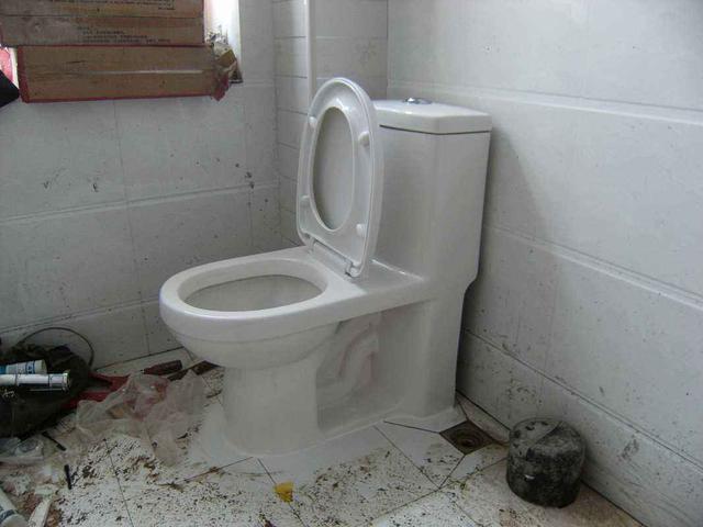 卫生间反味怎么办小妙招，卫生间反味太烦人