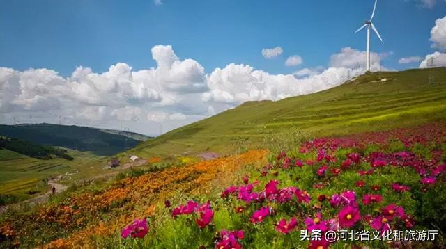 金秋塞罕坝旅行，红色旅游精品线路推介