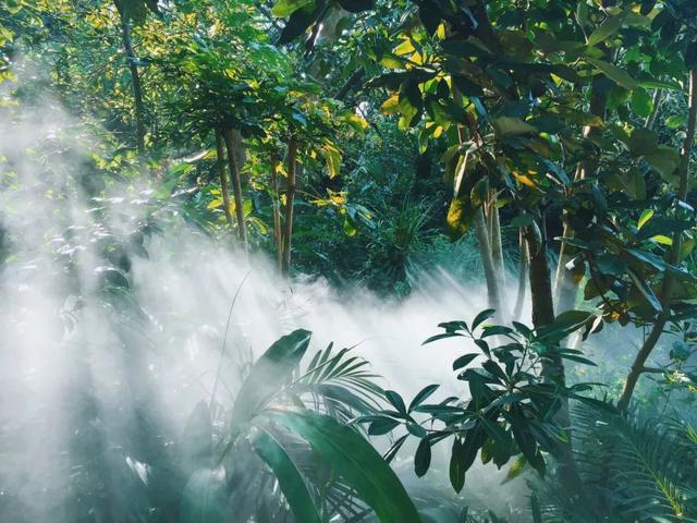 厦门网红打卡地不凡之地，厦门这些网红地