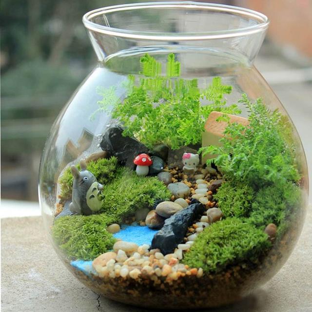苔藓植物的四个作用，另外还有好几个价值