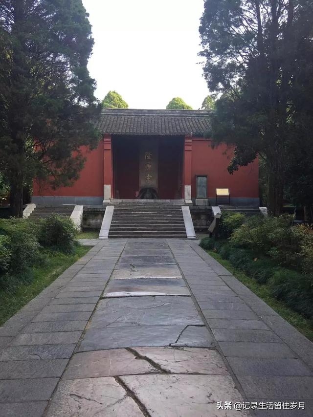 南京小众景点紫金山，登南京紫金山游记