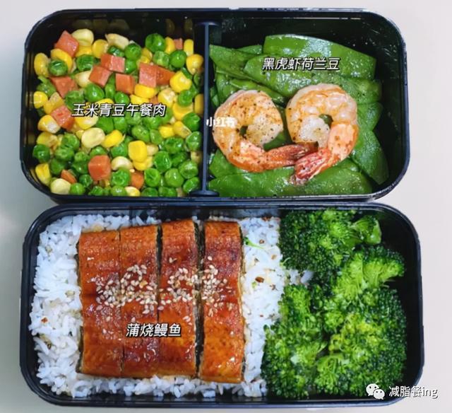 自制减脂便当，老婆做了这样的便当让我带去上班