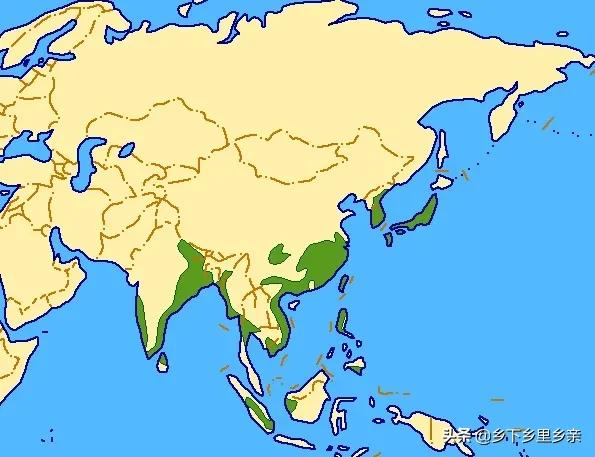 典型的农业地域类型及其特点，高中地理：几组农业概念的区分